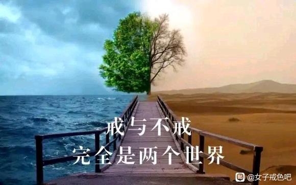 ”第两百七十三章