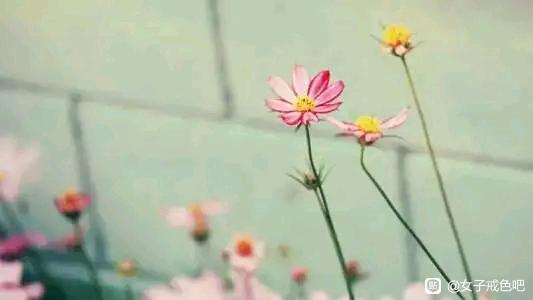 ”【转载】从众星捧月的公主，到历尽情感沧桑的大龄剩女