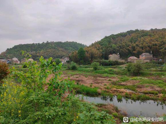 ”去年戒色百日挑战,只坚持到第67天就功亏一篑