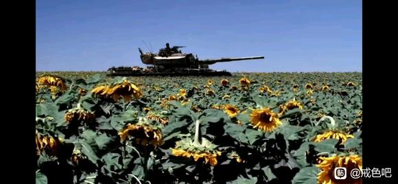 ”新人进群，戒色第一天