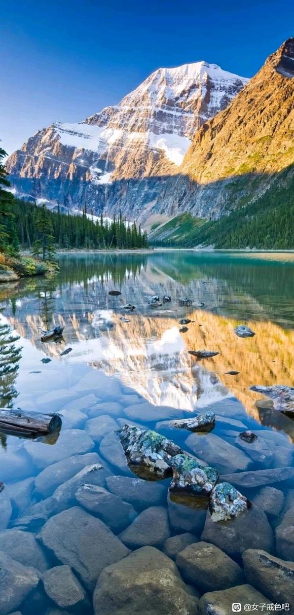 ”第三百九十七章