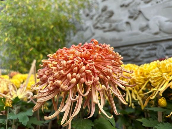 ”忏悔罪业的十种忏法