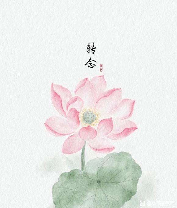 ”半个月就破了