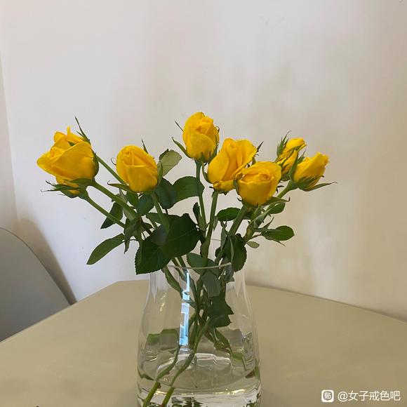 ”戒xy（zw）第2天