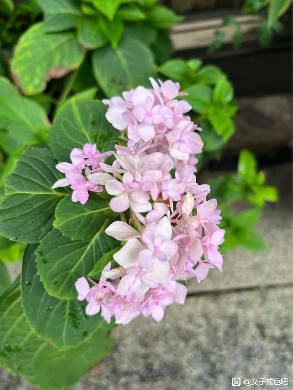 ”完备、正确的戒色方法——-《戒为良药》