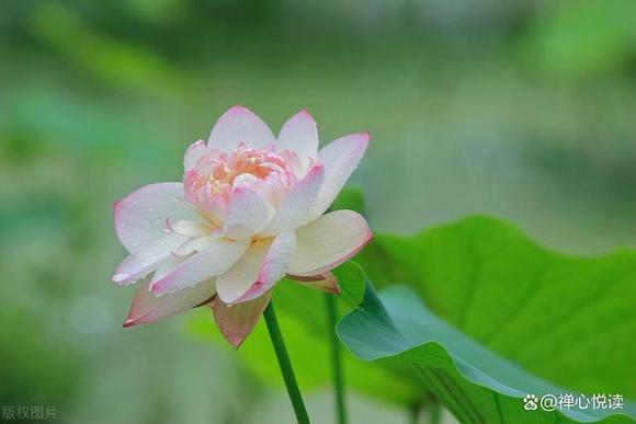 ”关于福报的几点感悟！