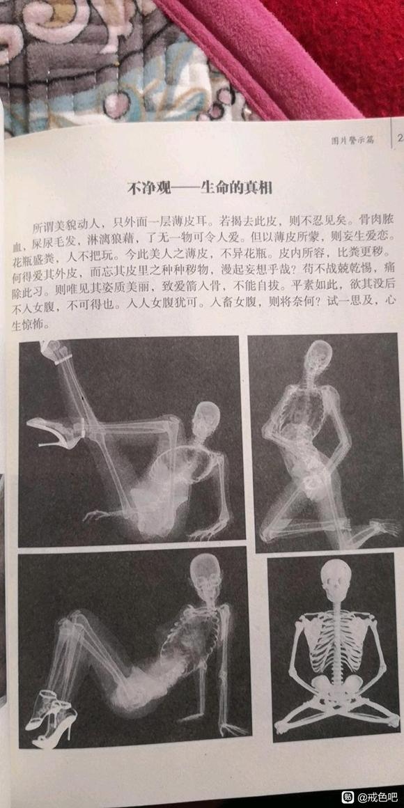 ”不净观—生命的真相