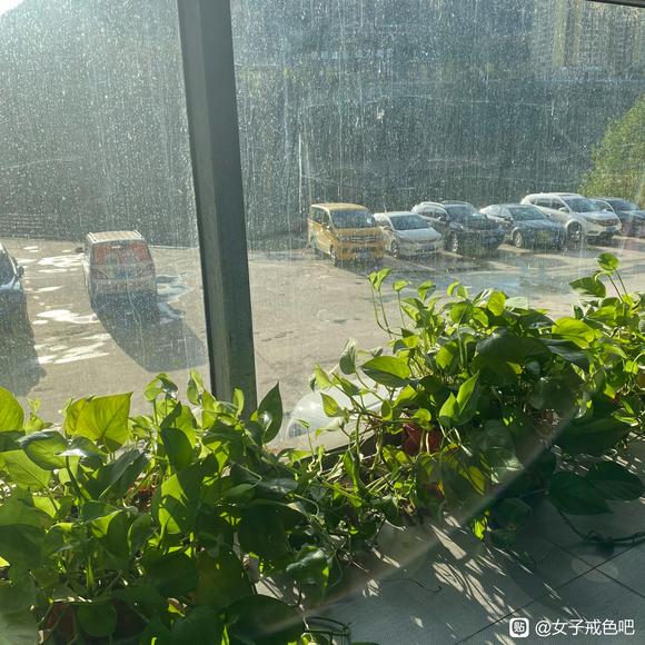 ”戒Xy第5天☀️