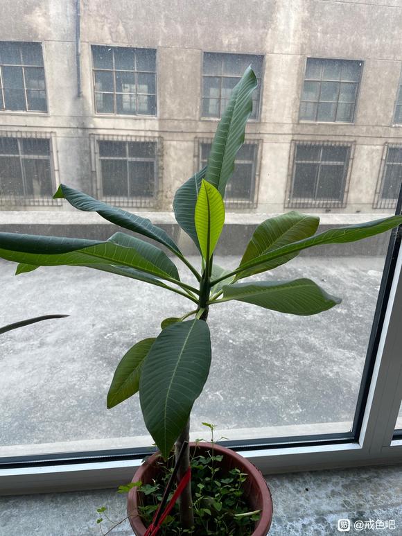 ”戒色心得】剖析神经症的原因和解决方案