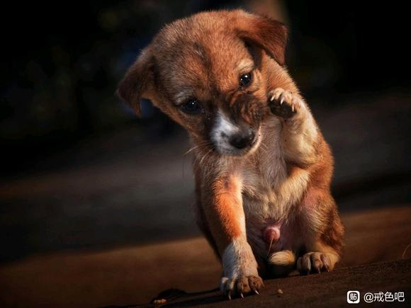 ”没有经过反身的人生，是不值得活着的