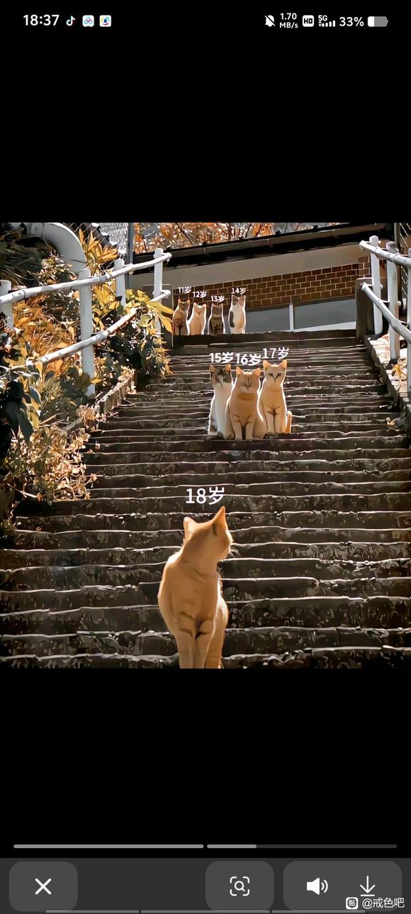 ”#微信看病卖药是假的#戒色，戒色。18天