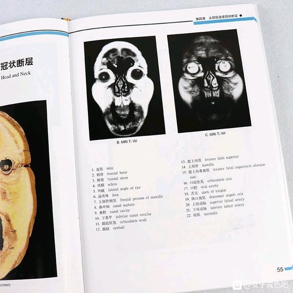 ”不净观——打破邪淫的两种利器之一（转）