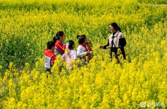 ”兄弟们出事了！看到的大哥知道的解答一下！