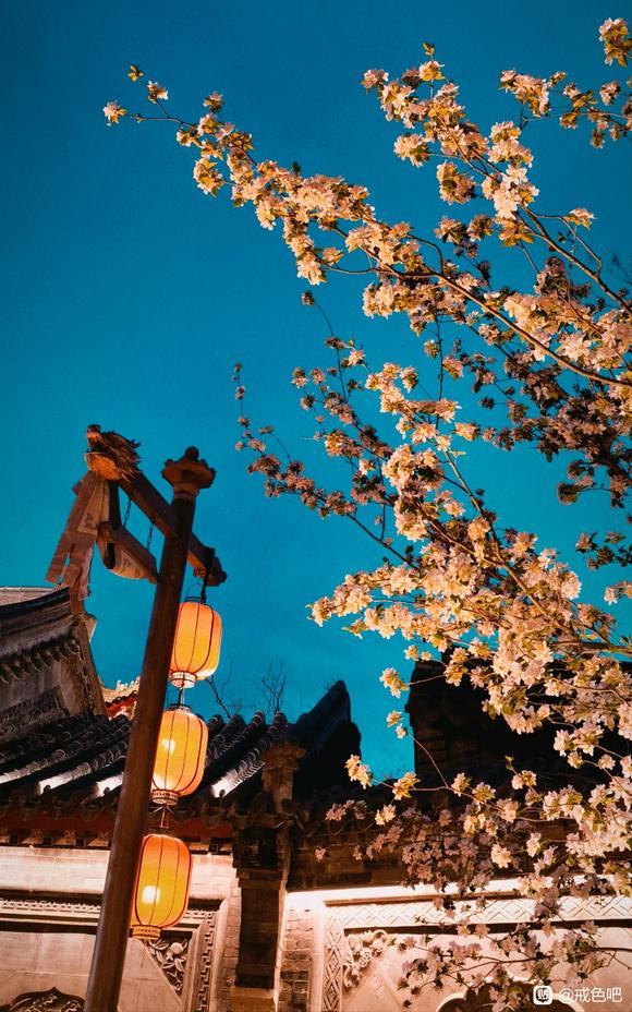 ”#微信看病卖药是假的#素食需要注意的问题