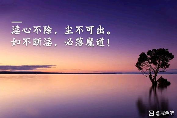 ”戒色飞翔语录