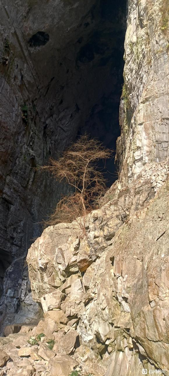 ”撸龄8年，戒色/手