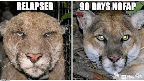 ”求各位大神指点！