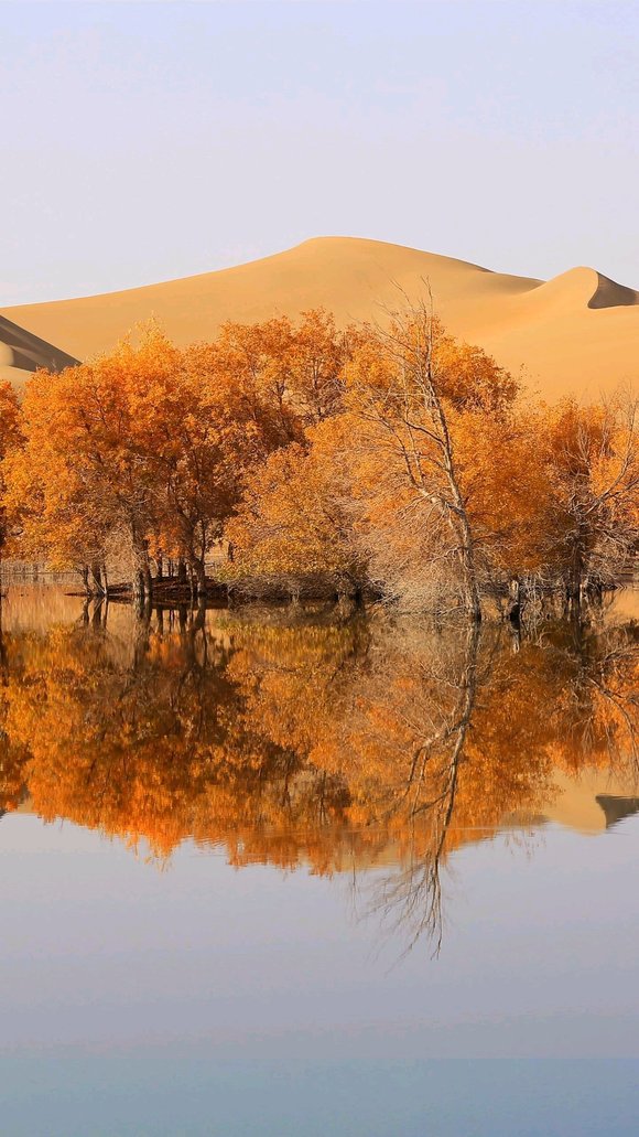 ”大哥们黄脑怎么清除啊！