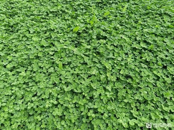 ”发现了一种比较好的方法