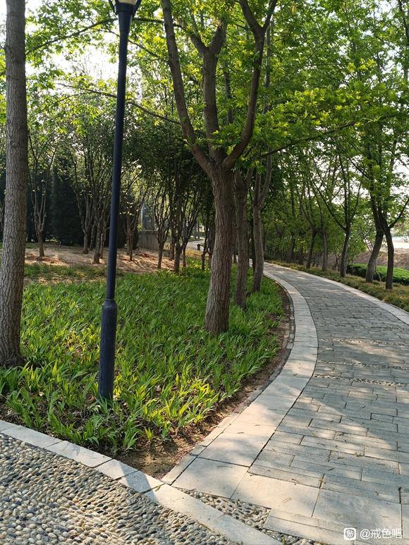 ”发现了一种比较好的方法