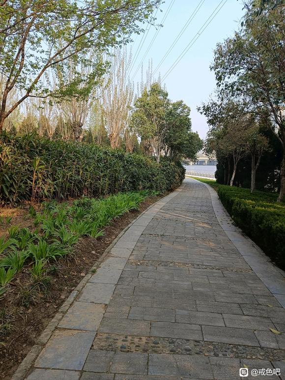 ”发现了一种比较好的方法