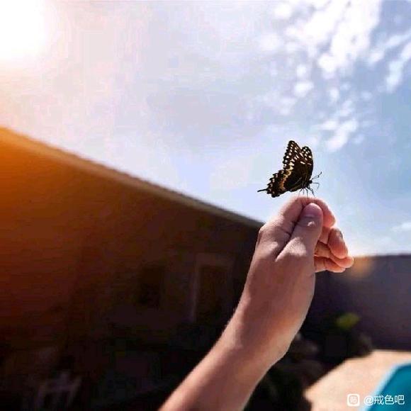 ”有什么修心的佛学书籍推荐的吗？