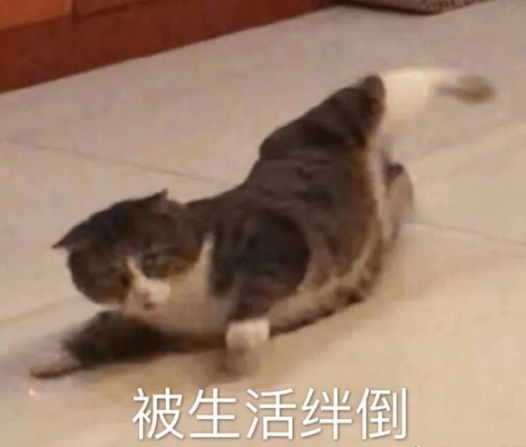 ”第三天会做梦