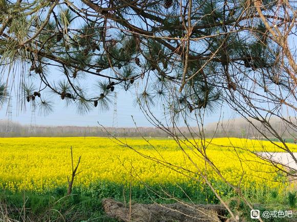 ”老哥吧友快乐帮帮我