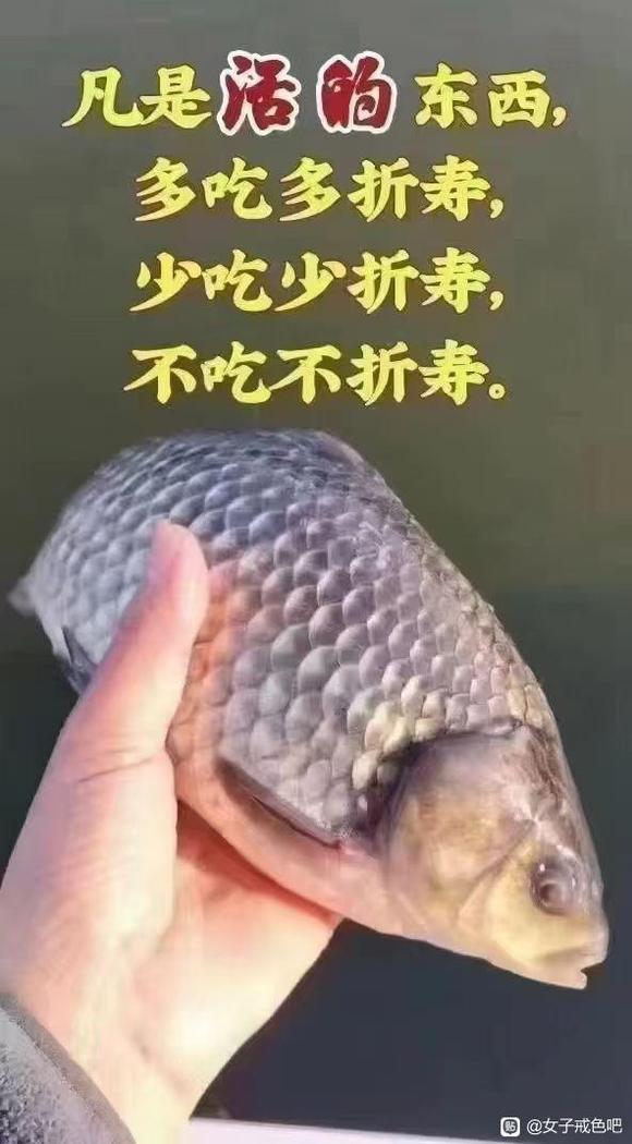 ”素食好处不计其数