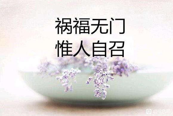 ”理性讨论贴，哥们儿是18岁大学生，学的生物