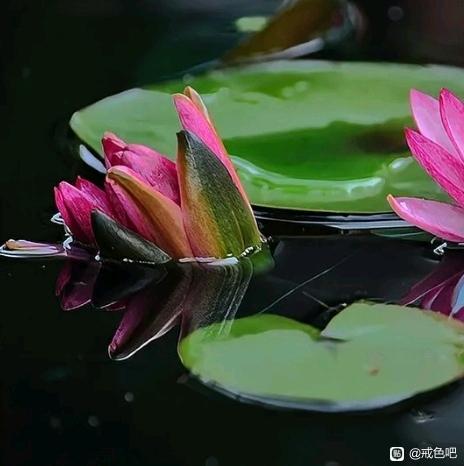 ”想要戒除邪淫，可遵循关键四步