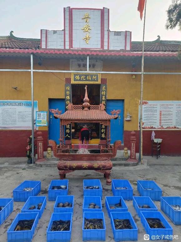 ”落地落实的戒淫法，还是超渡最实用