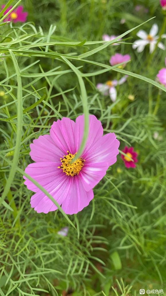 ”百日筑基打卡第29天