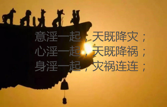 ”15年SY史的惨痛人生：世间所有的美好都与我无关！