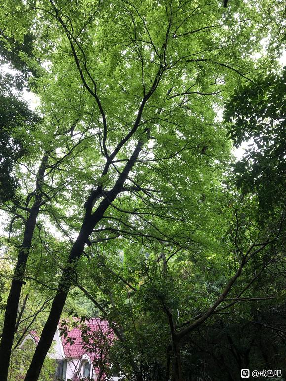 ”想开个微信群互相鼓励监督，或者加入