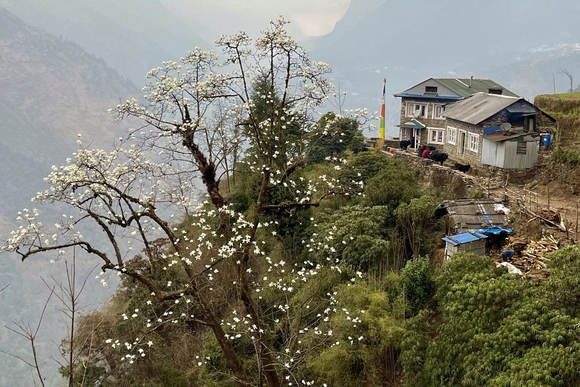 ”关于4.10号晚上看黄的反思，望诸位引以为戒。