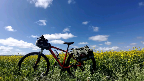 ”关于4.10号晚上看黄的反思，望诸位引以为戒。