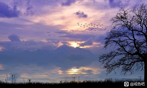 ”若想往前，只有拼命的奔跑，有时候正确的方向比努力更重要。