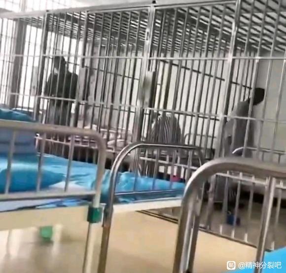 ”精防狗社区狗会把你的病情告诉你住址周边和工作单位，让你求生不得