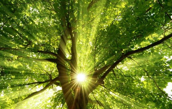 ”冬季戒色养生之五大要点（这里，最细致，最全面）