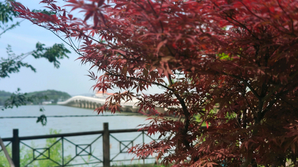 ”#微信看病卖药是假的#戒色第十天