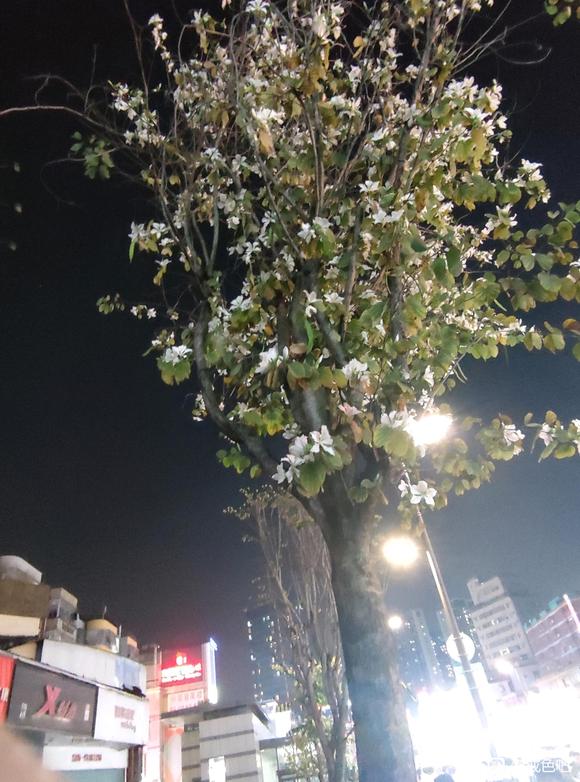 ”各位师兄们快来帮我分析一下