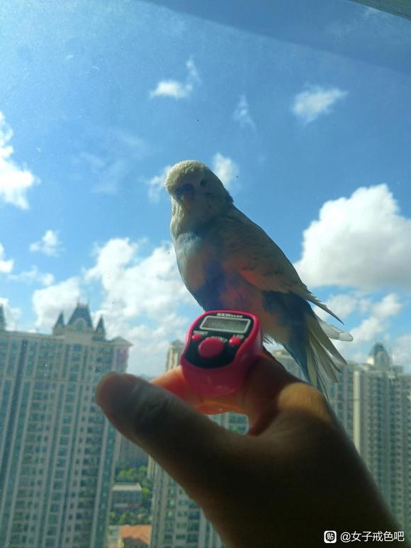 ”邪………淫的危害