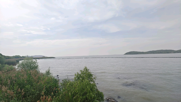 ”#微信看病卖药是假的#戒色第十一天，睡觉咯