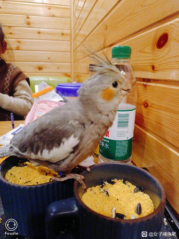 ”分享一下我一生邪……淫所带来的惨痛教训：