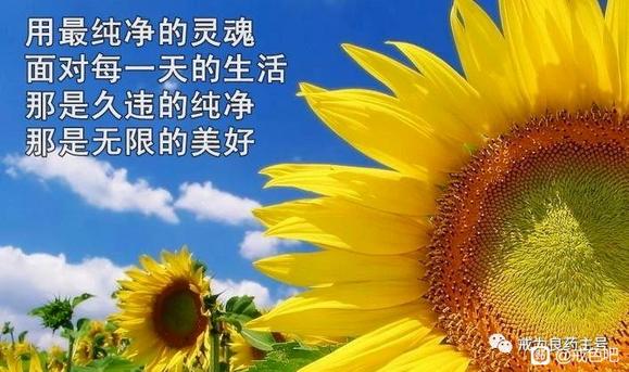 ”早起打卡+1（遗精贴）