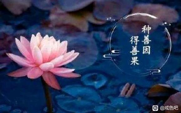 ”自渎、欲念不仅掏空了人的身体，更吞噬掉人的脑力！