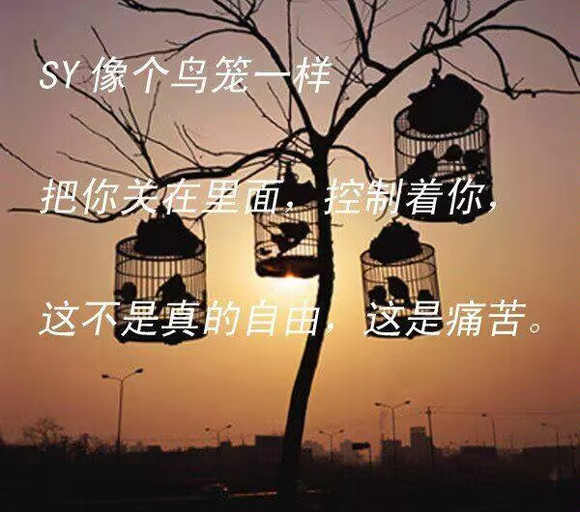 ”你的想法认识全都是错的！好好想想！