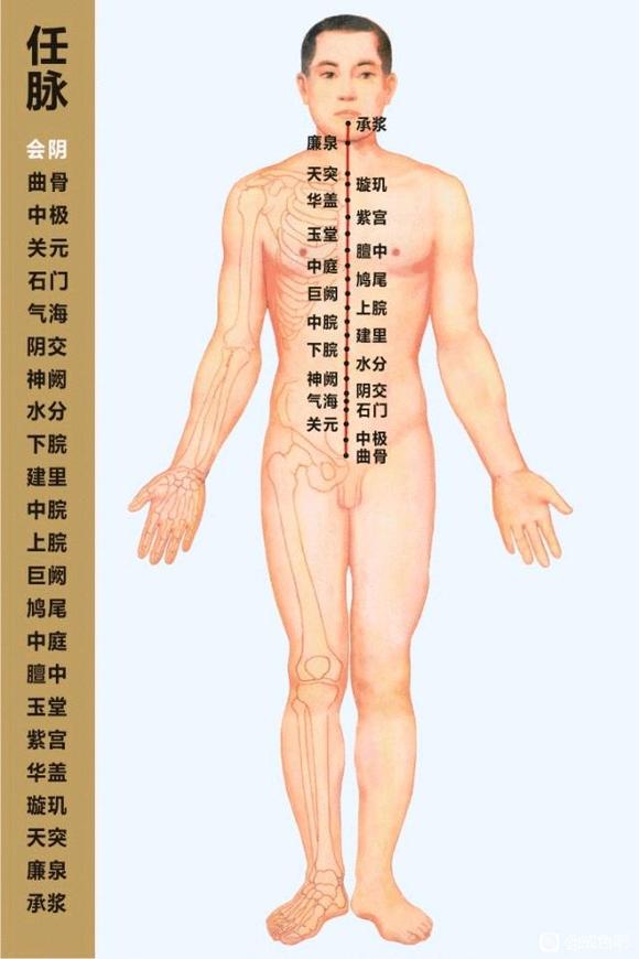 ”经络不通，补啥都没用！一文讲明白十四条经络！（附高清动态图）