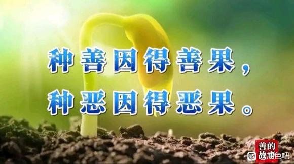 ”邪淫导致肾虚出现以下情况(转)